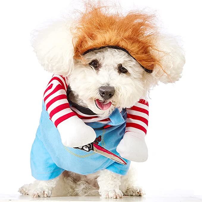 Funny dog pet costume perfect Halloween