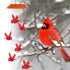 Solar Cardinal Wind Chime Light OFF CHRISTMAS