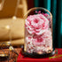 Preserved Natural Dried Flowers Led Light In A Flask Beauty the Beast Immortal Rose New Year Christmas Valentine's Day Gifts