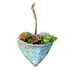 Planting Succulent Heart Pocket Planter