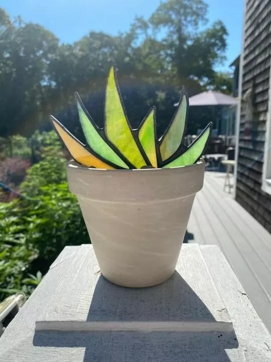 Suncatcher Stained Agave Plante