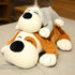 Beanie Boomer Sleepy Beagles NEW
